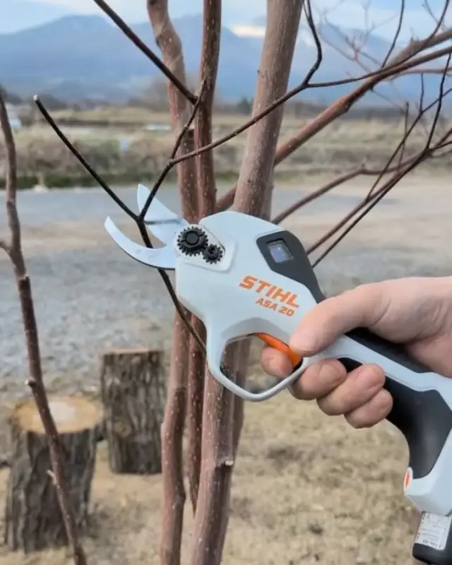 剪定ハサミ、普通のも電動も売ってますよ。  普通の人（たまに剪定庭木を剪定するくらい）だったら手動のハサミでいいんですけど、果樹農家さんとかは電動の剪定ハサミが必須です。1日で数百カットなどするので、手動だと腱鞘炎になっちゃうんですよね。枝の切り口が感染症になっちゃうので正確なカットも求められます。  なので電動剪定ハサミってかなりニッチな製品なんですけどブックマークでお試し置いてます。  カットの速さやトリガーに連動して刃が開く感じなど、最先端感があって面白いので無駄に持ち出しては庭の枝を剪定してます。  ニッチな割には機種が多く、数千円〜20万円と値段も開きがあります。選ぶポイントとしては・交換用刃物が存在している、入手が簡単・軽さ、修理が出来るか・カットスピードなんてところが重要でしょうか。  各種試せますのでぜひお試しくださいませ。手剪定鋏も切れ味良くメンテもできる製品があります。また別記事で紹介しますね。  #くらしの工具屋ブックマーク #御代田 #軽井沢 #佐久 #小諸 #カーデニング #庭木 #stihl #本家松永製作所