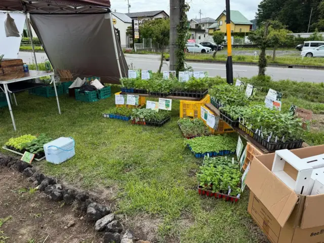 庭しごと市、準備中です！暑くなる予定ですので気をつけてお越しください！  @tooyama_nouen @honke_matsu @meadow_soil @makita.jp @bookmark_garden
